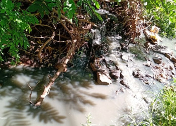 Morador denúncia esgoto sendo lançado em riacho no município de Corrente